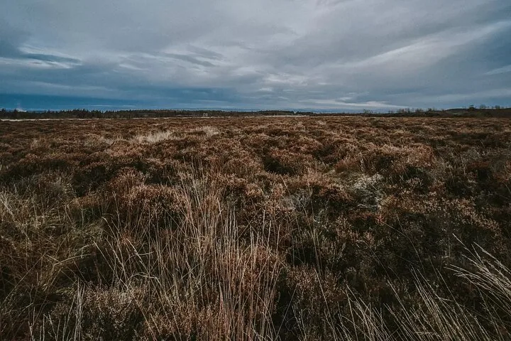 Vast heather moorland under a cloudy sky at Culloden Battlefield